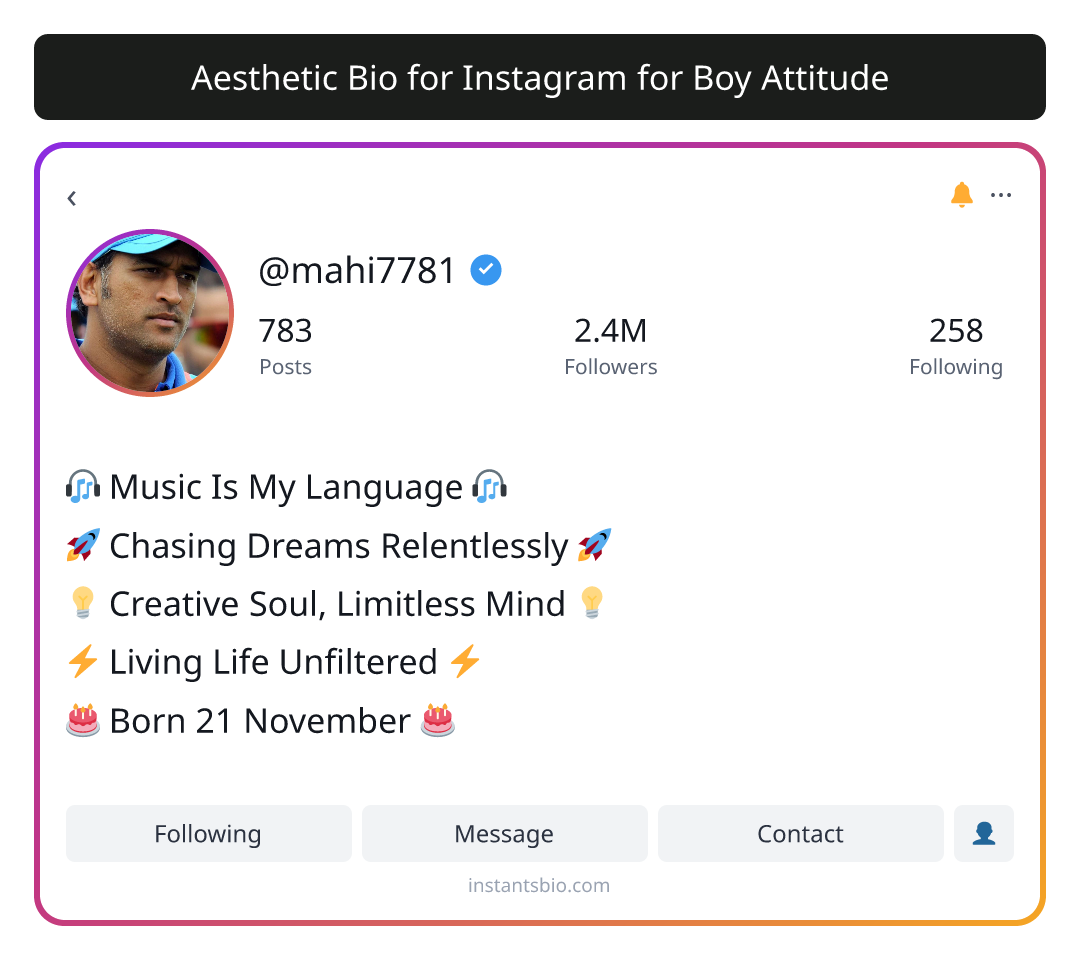 Aesthetic Bio for Instagram for Boy Attitude