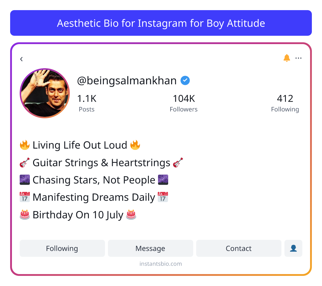 Aesthetic Bio for Instagram for Boy Attitude