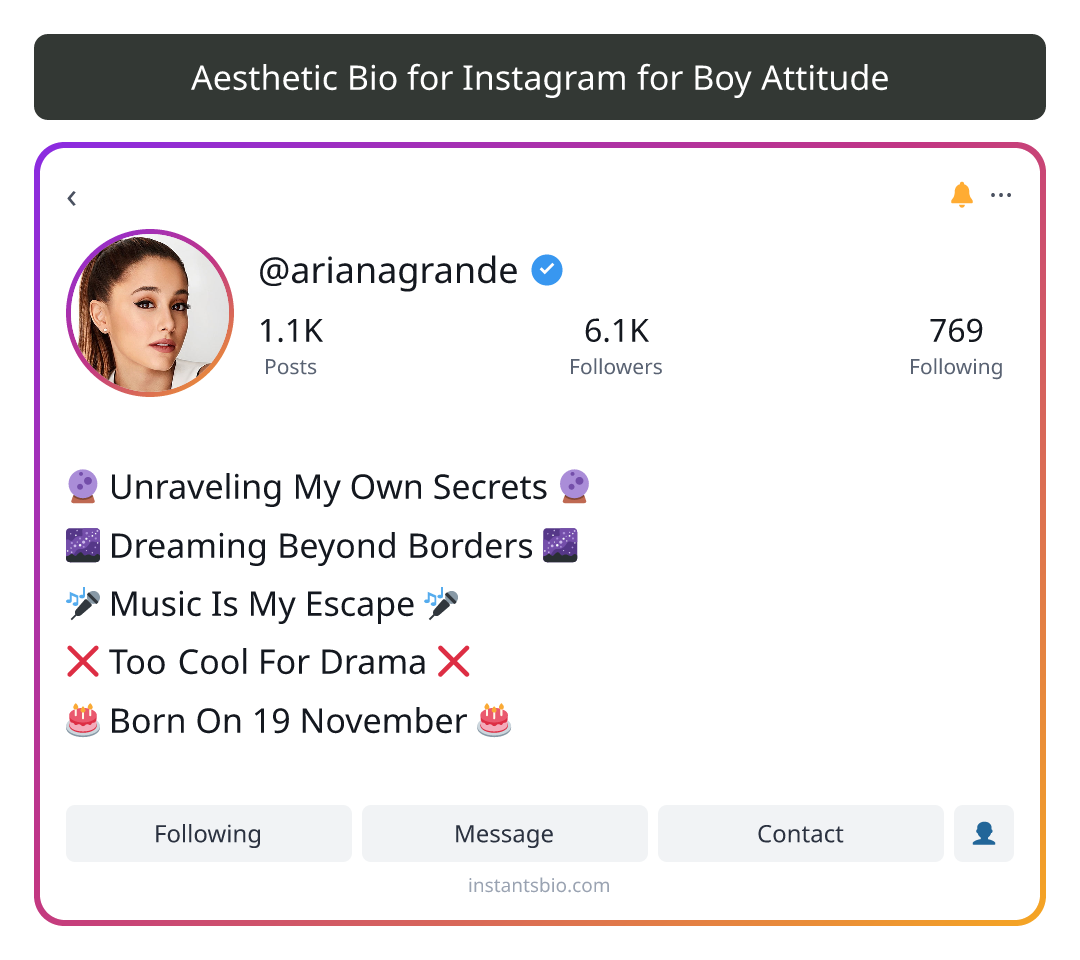 Aesthetic Bio for Instagram for Boy Attitude