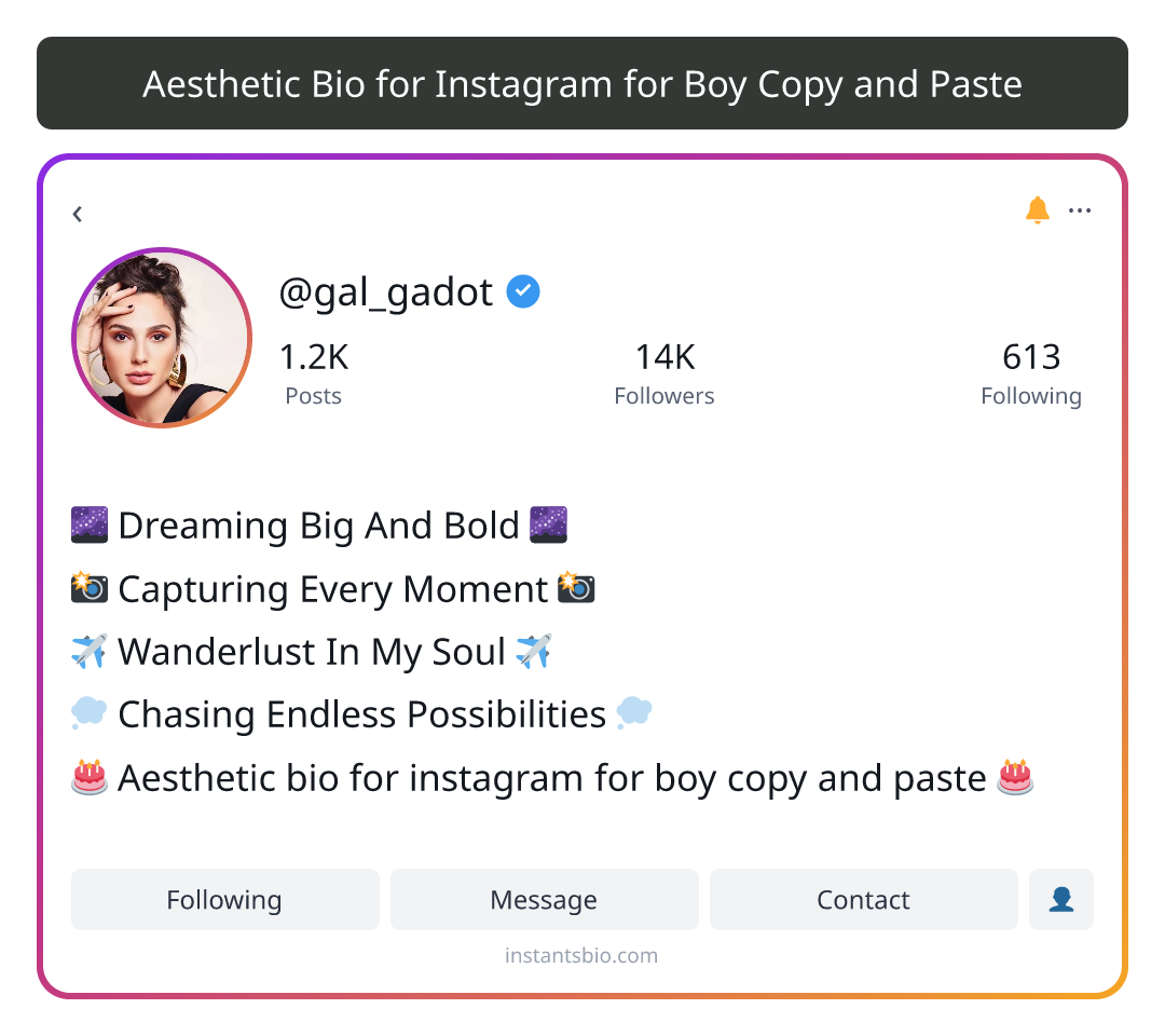 Aesthetic Bio for Instagram for Boy Copy and Paste