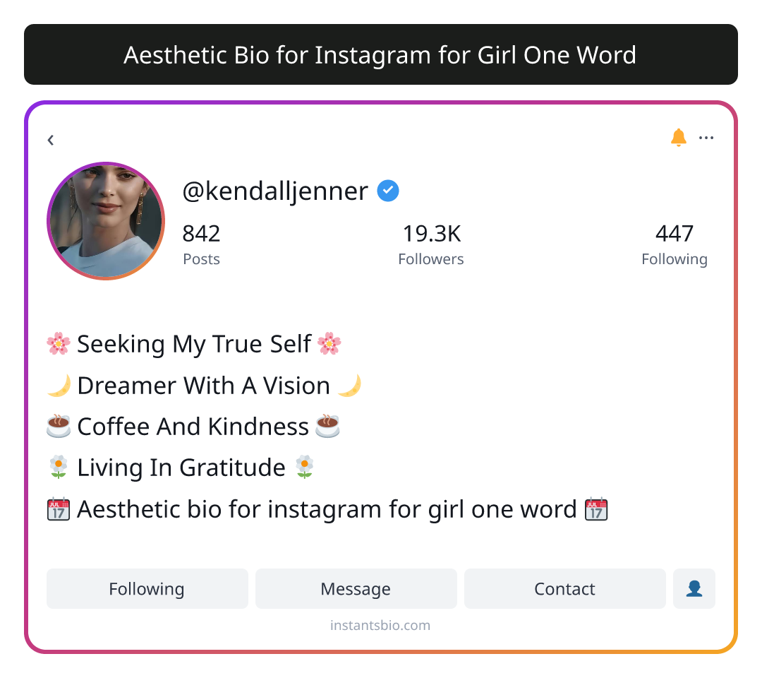 Aesthetic Bio for Instagram for Girl One Word
