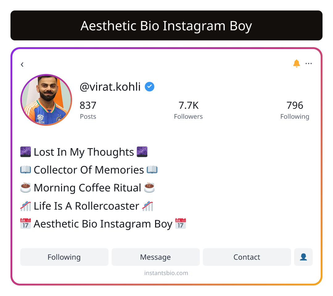 Aesthetic Bio Instagram Boy