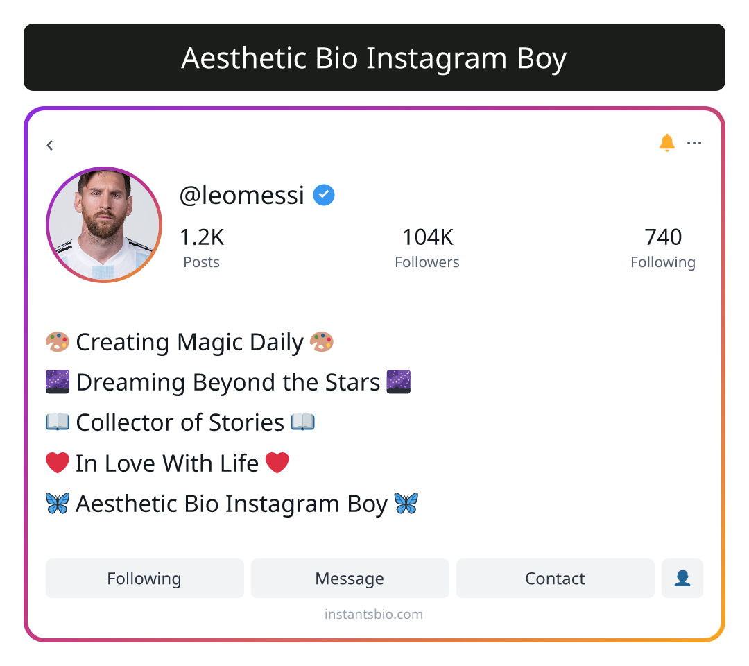 Aesthetic Bio Instagram Boy