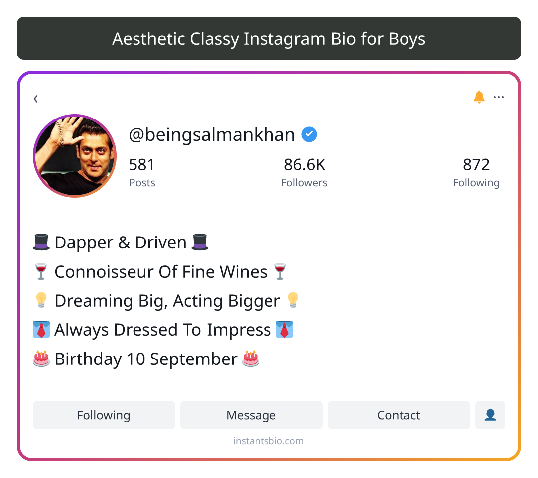 Aesthetic Classy Instagram Bio for Boys