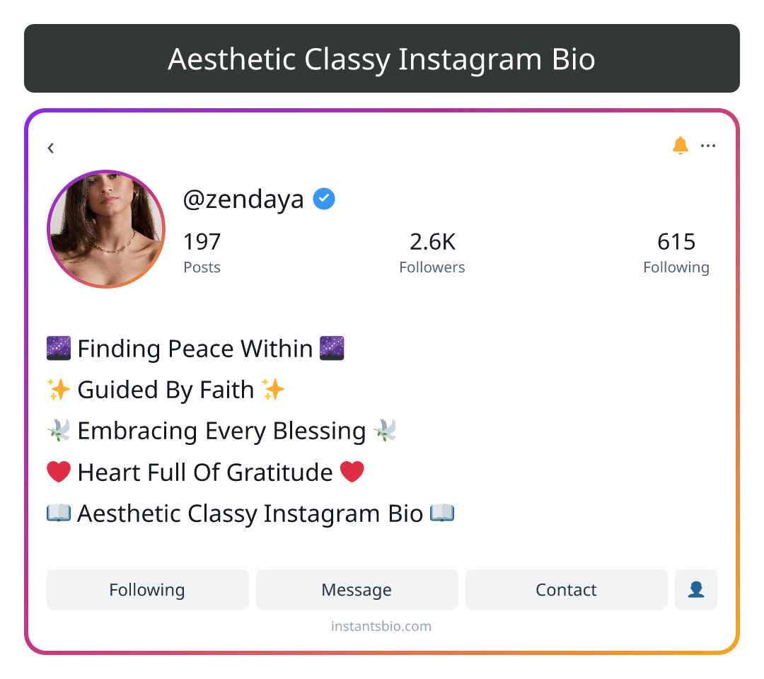 Aesthetic Classy Instagram Bio