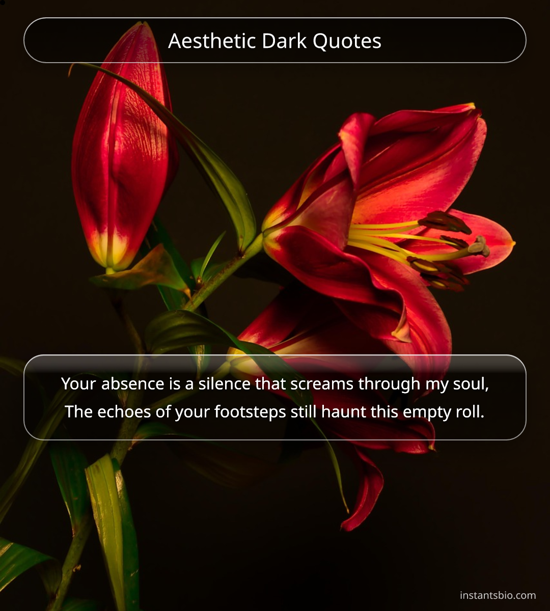 Aesthetic Dark Quotes