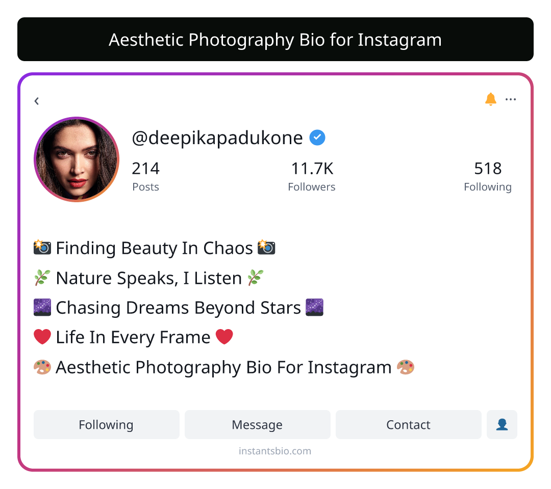 Aesthetic Photography Bio for Instagram