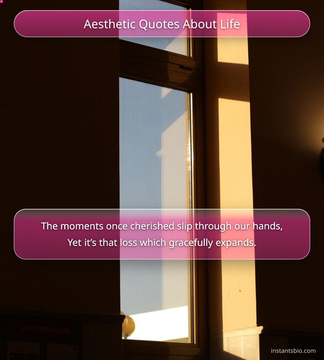 Aesthetic Quotes About Life