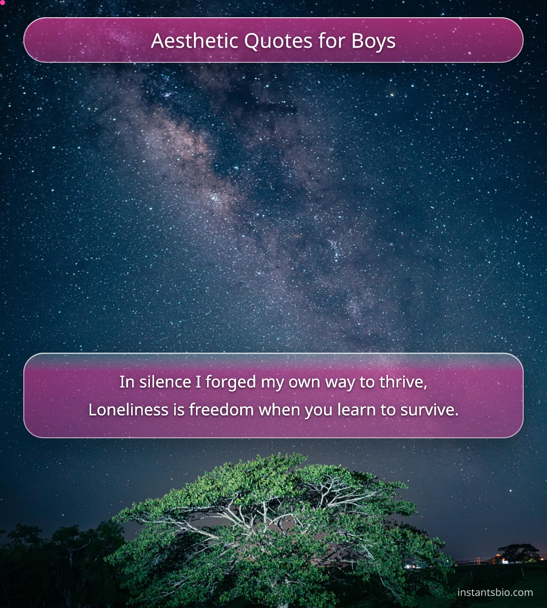 Aesthetic Quotes for Boys