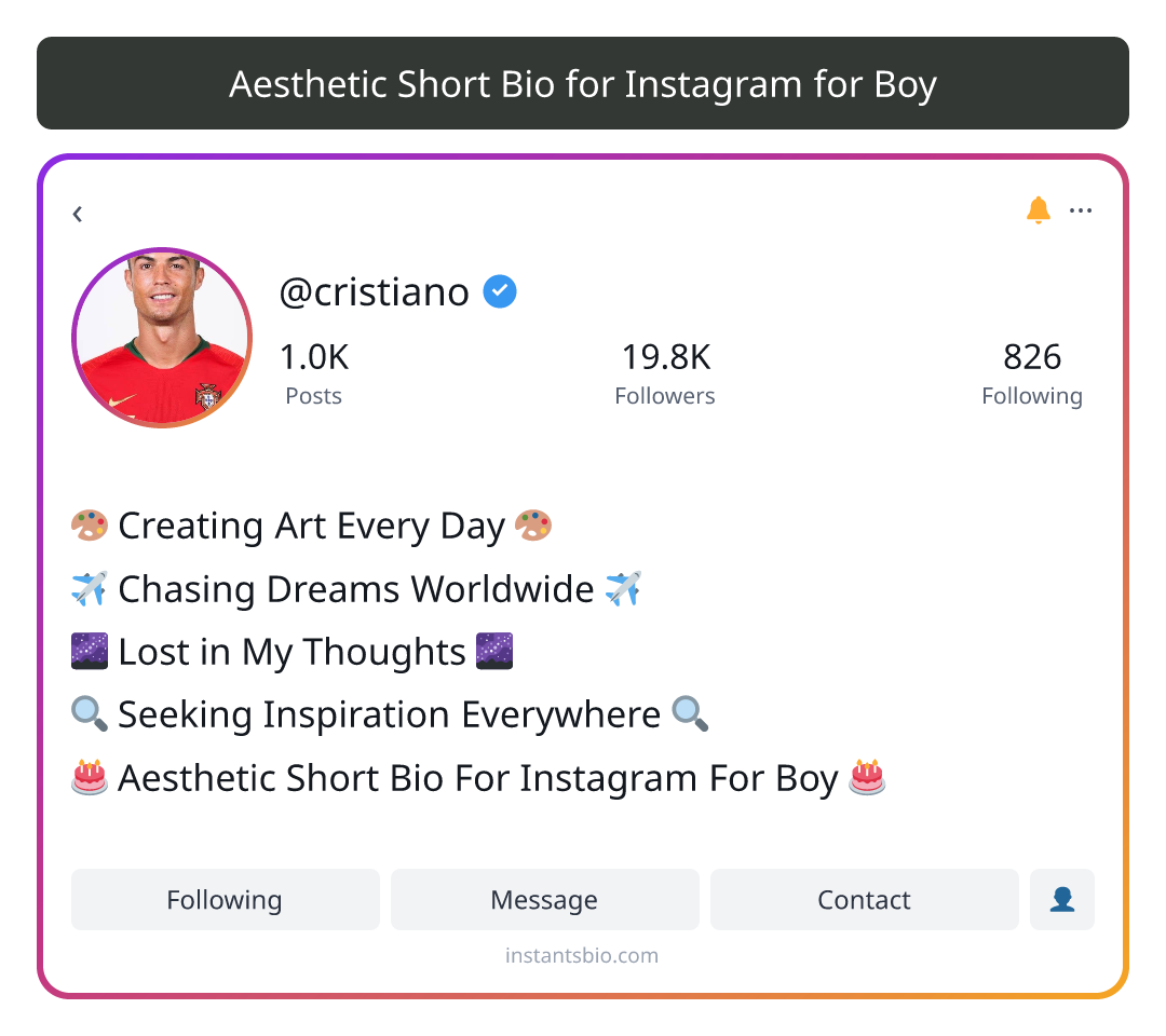 Aesthetic Short Bio for Instagram for Boy - aesthetic bio for instagram