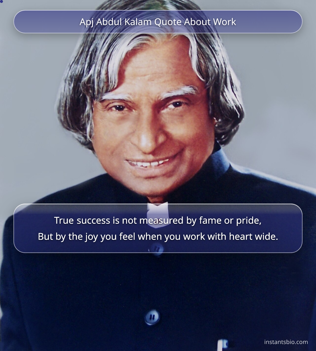 Apj Abdul Kalam Quote About Work