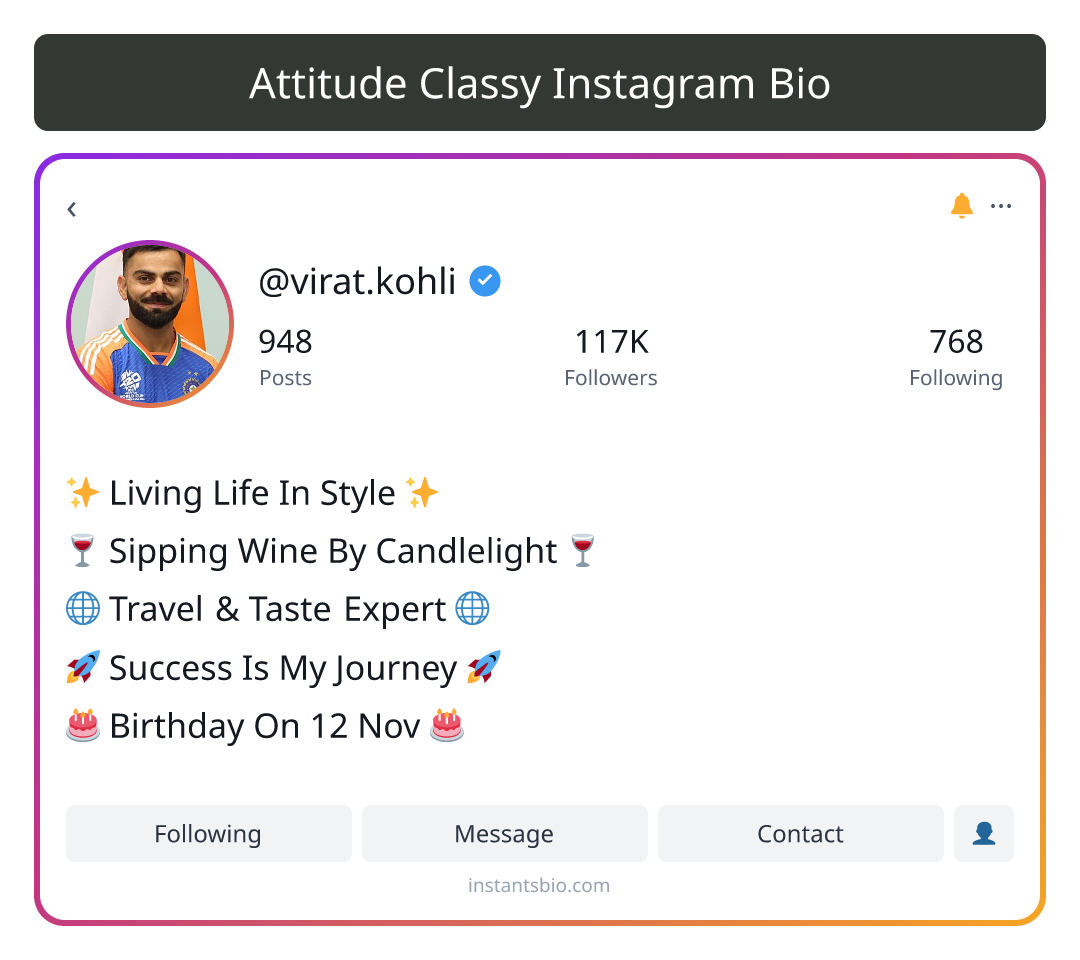 Attitude Classy Instagram Bio