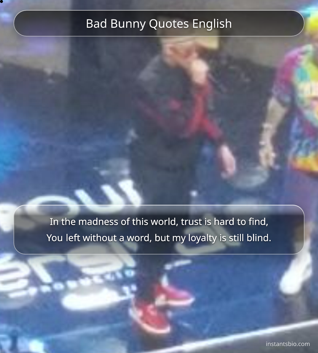 Bad Bunny Quotes English