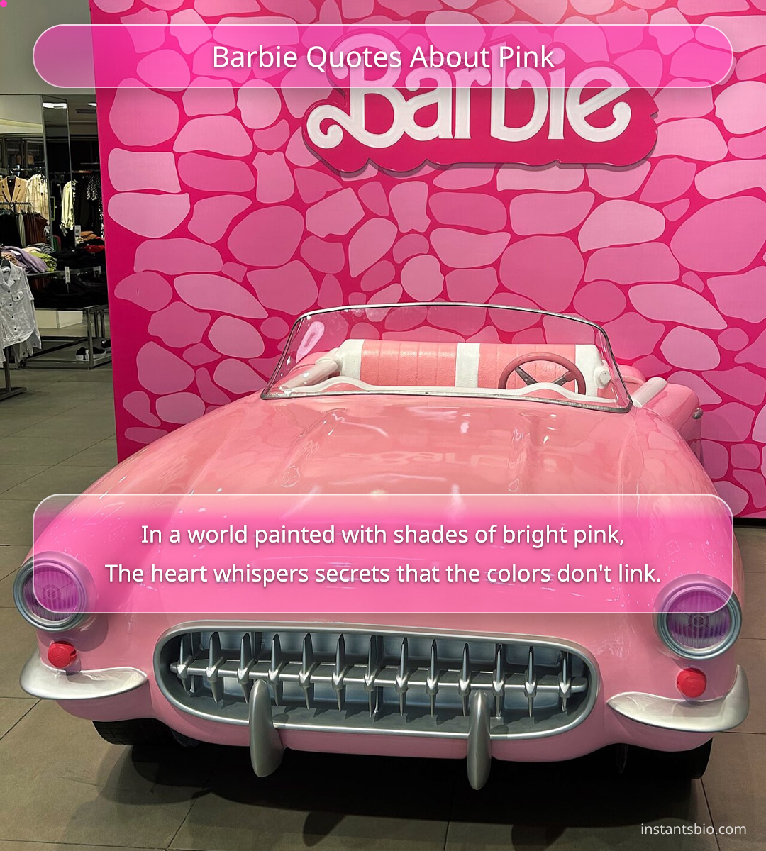 Barbie Quotes About Pink