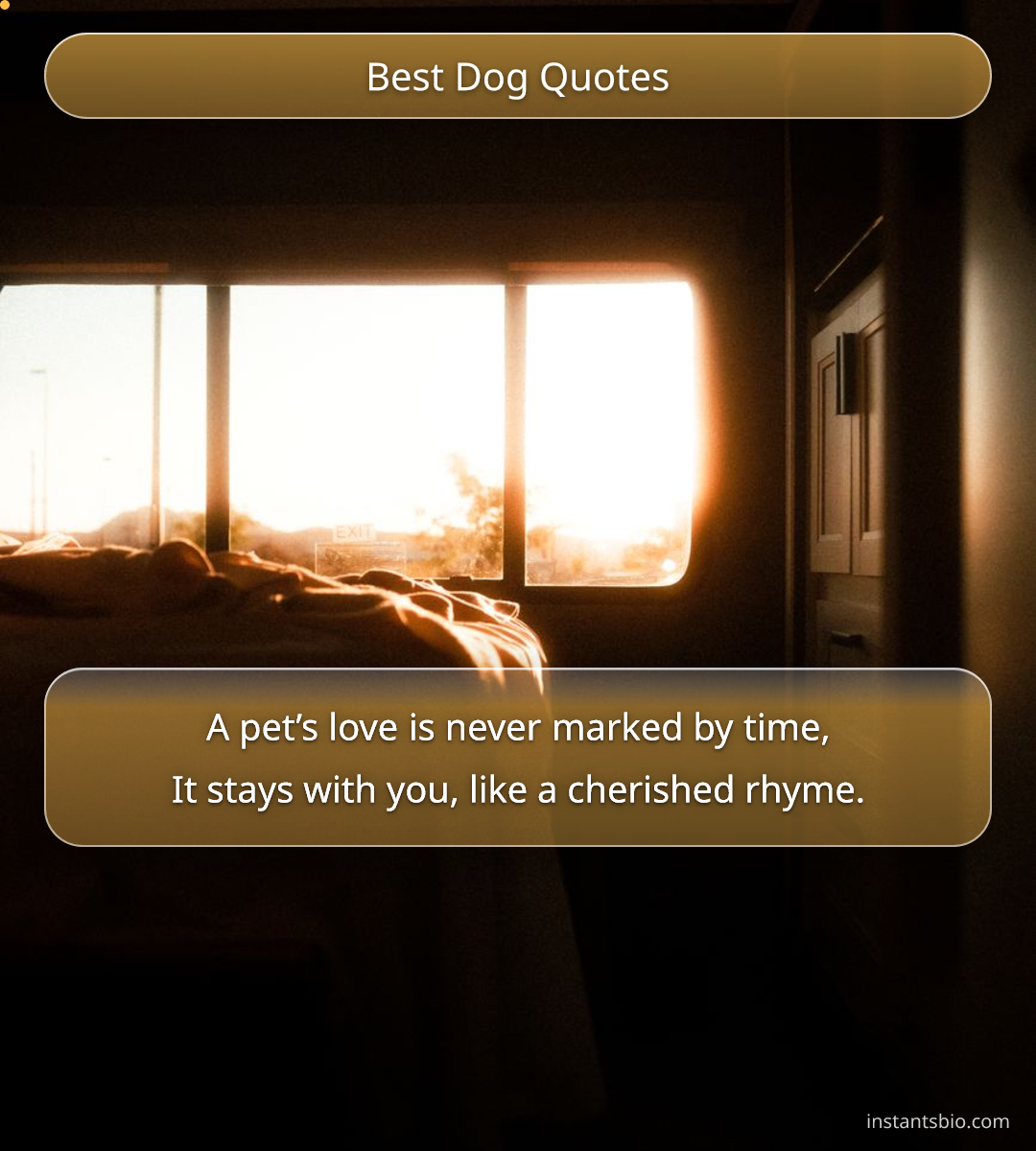 Best Dog Quotes