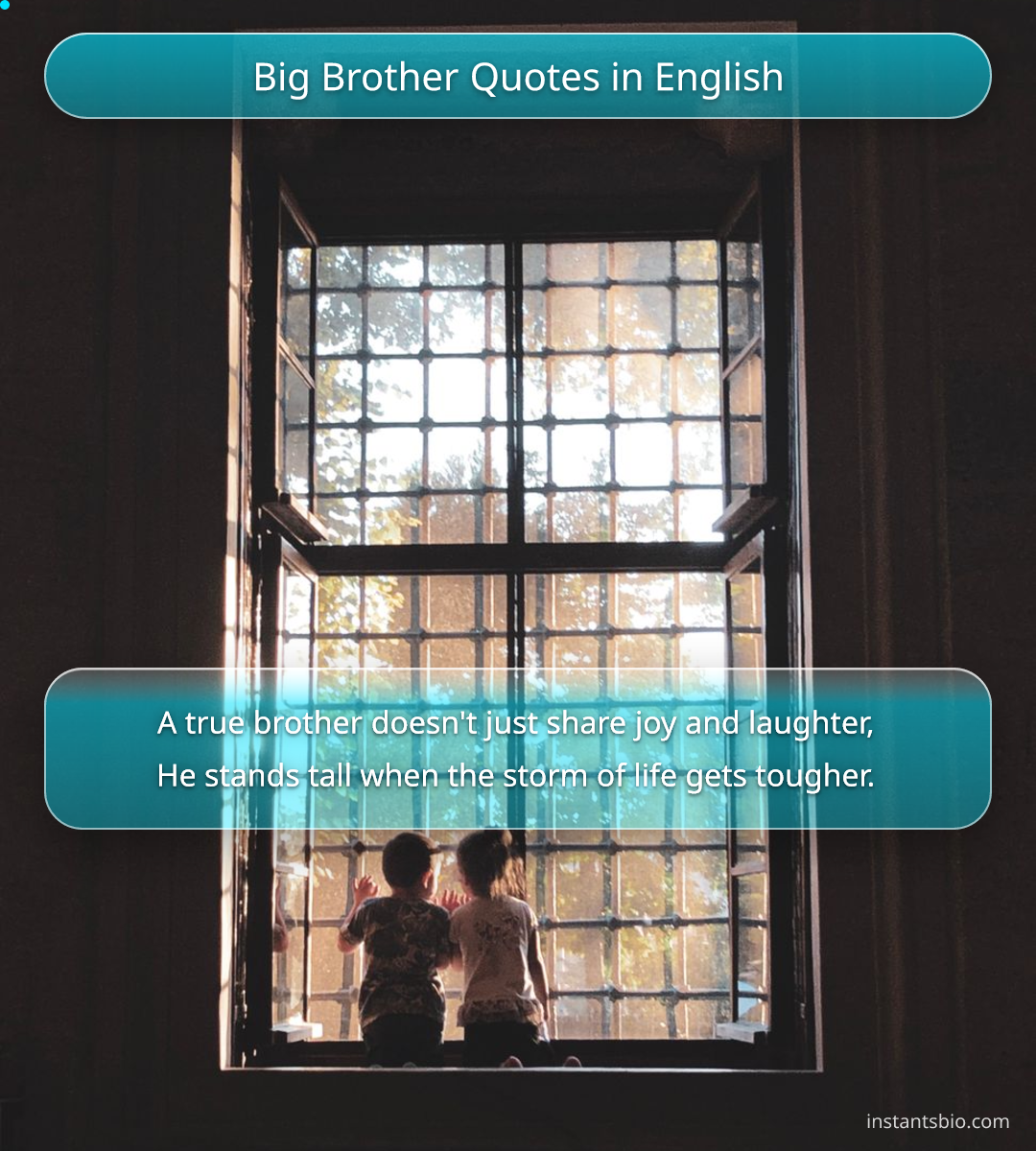 Big Brother Quotes in English