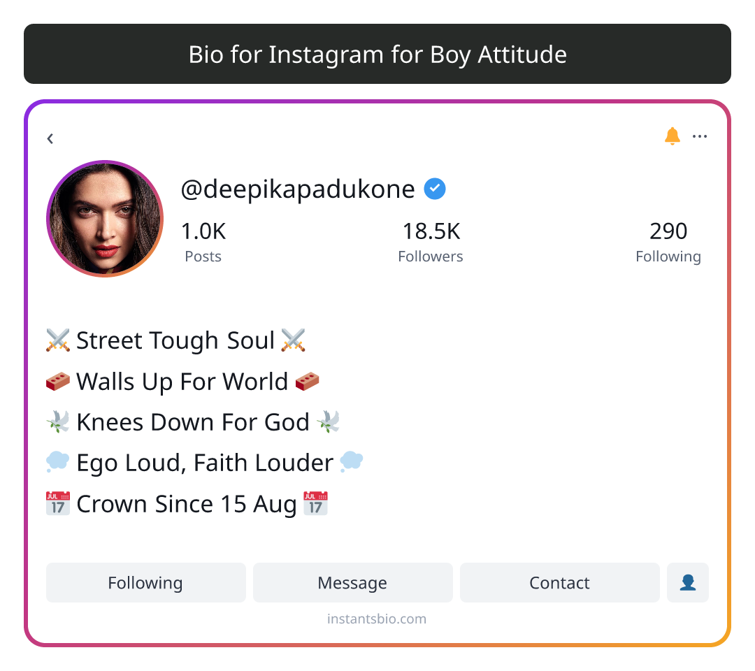Bio for Instagram for Boy Attitude - instagram bio style