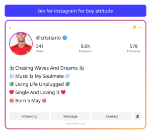 bio for instagram for boy attitude