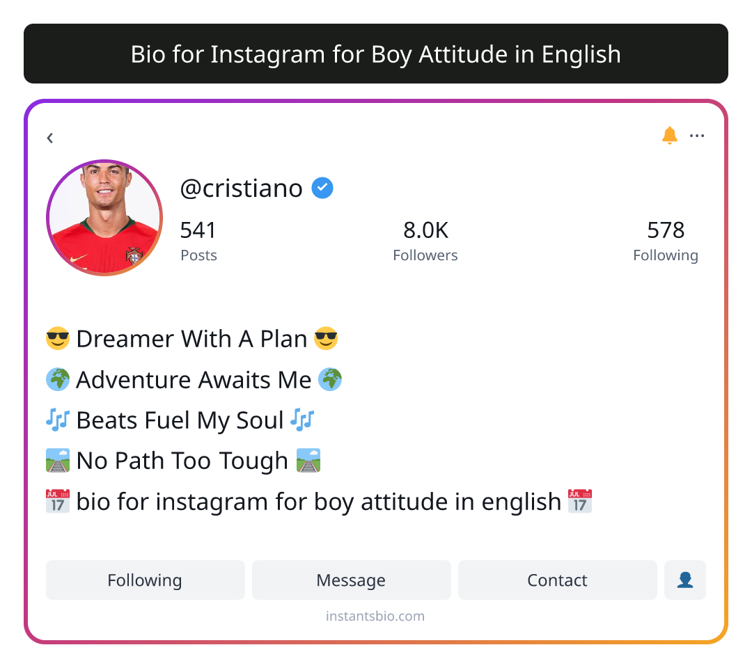 Bio for Instagram for Boy Attitude in English