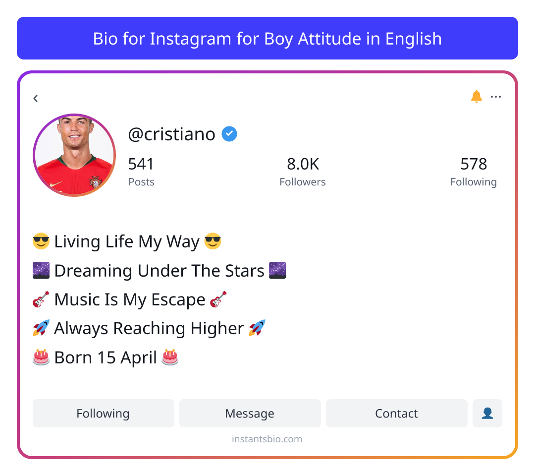 Bio for Instagram for Boy Attitude in English