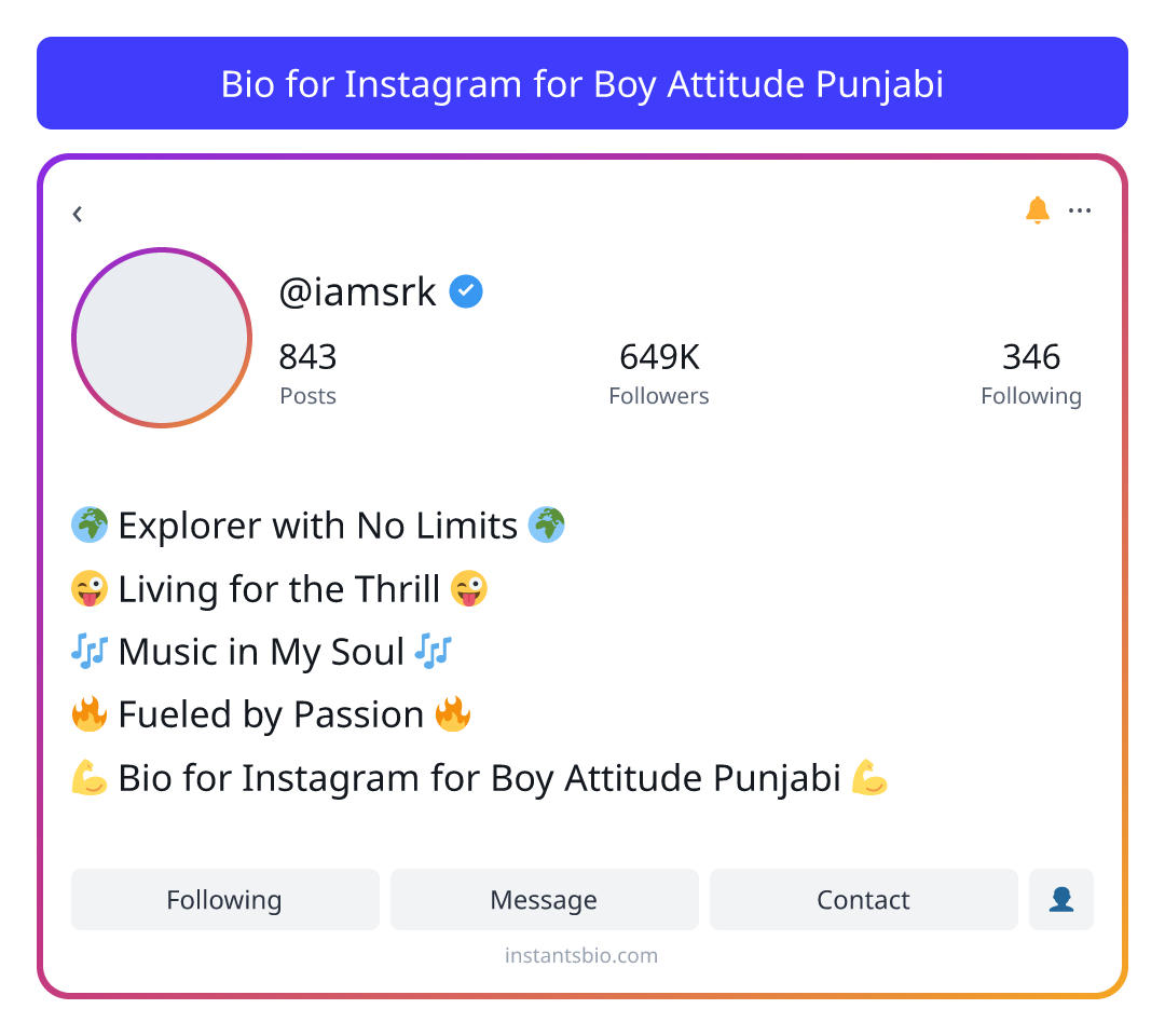 Bio for Instagram for Boy Attitude Punjabi