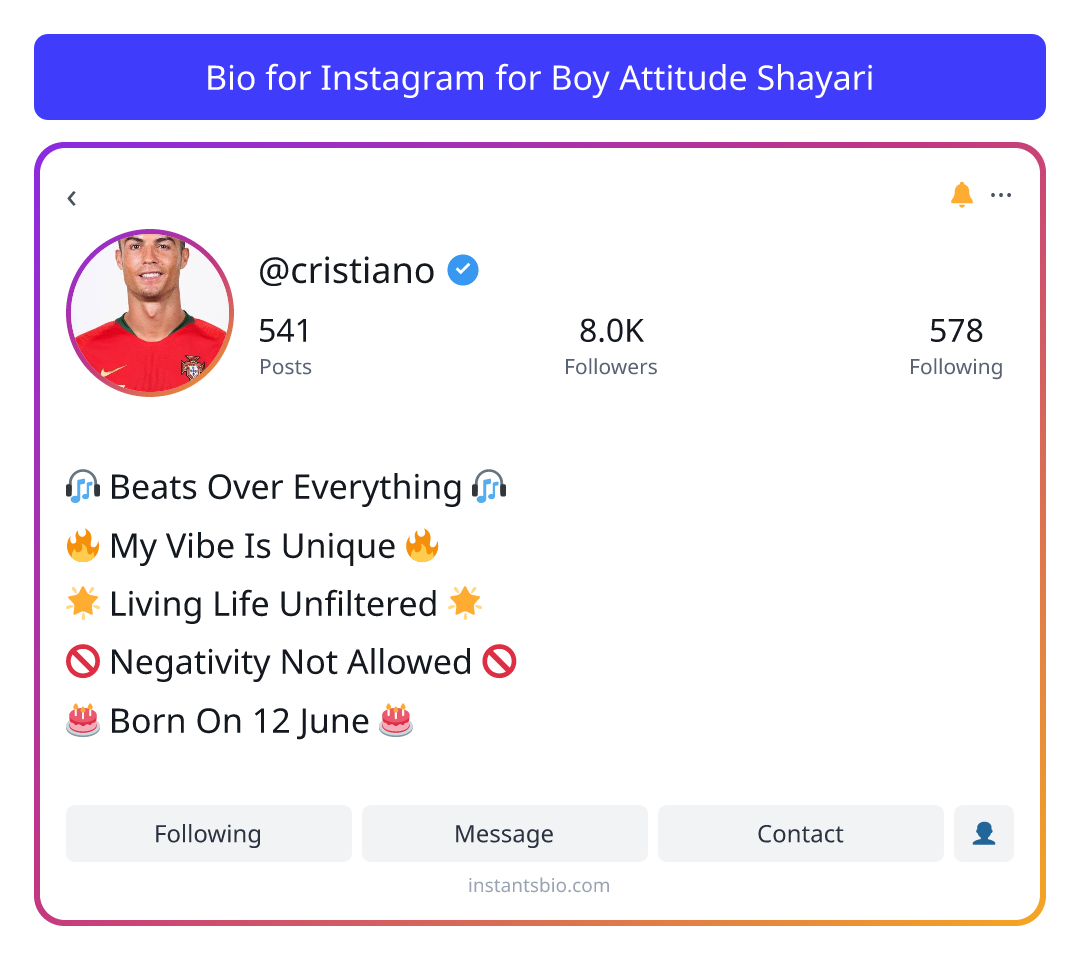 Bio for Instagram for Boy Attitude Shayari