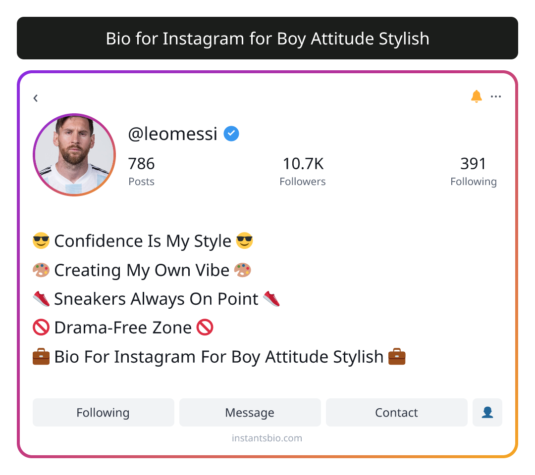 Bio for Instagram for Boy Attitude Stylish