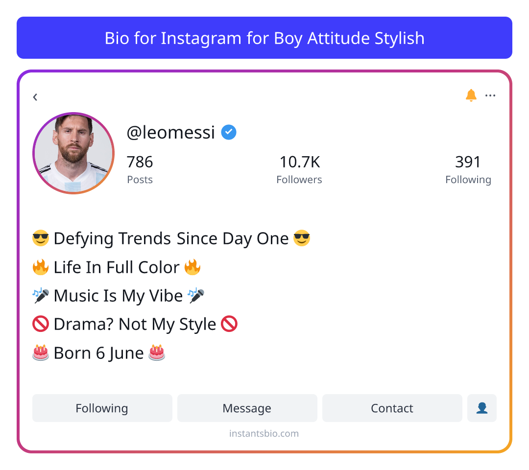Bio for Instagram for Boy Attitude Stylish