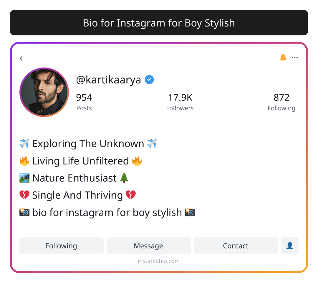 Bio for Instagram for Boy Stylish - bio instagram