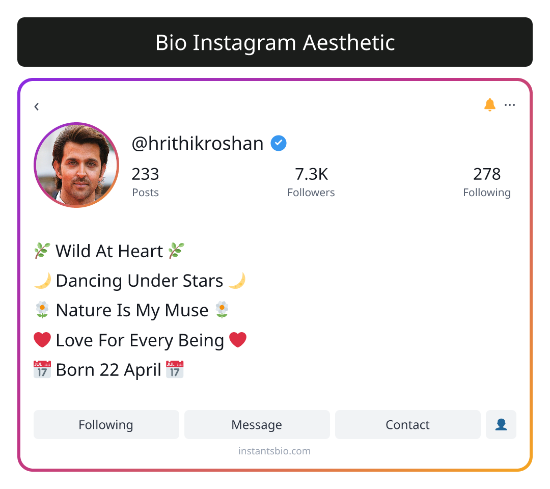 Bio Instagram Aesthetic