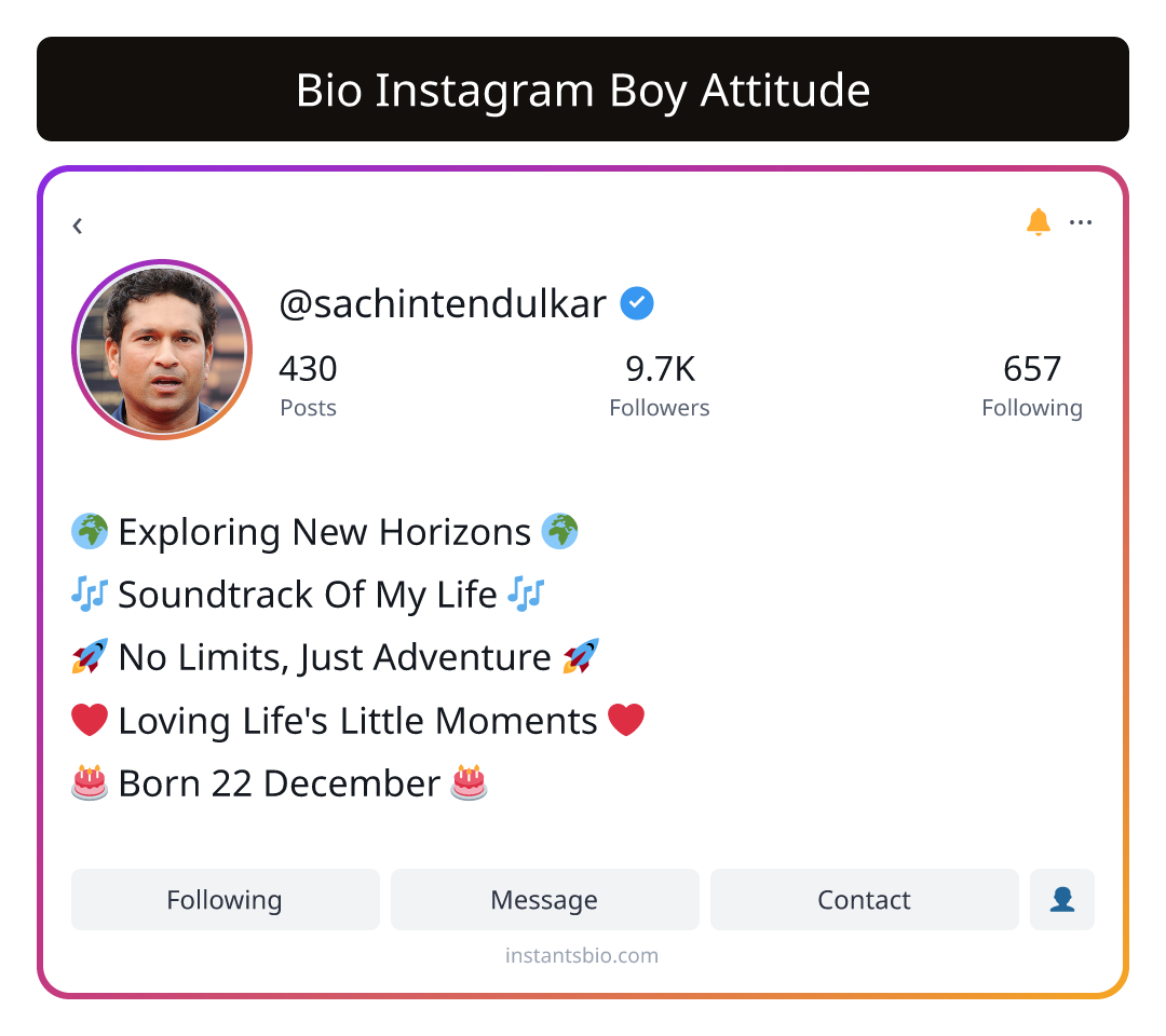 Bio Instagram Boy Attitude
