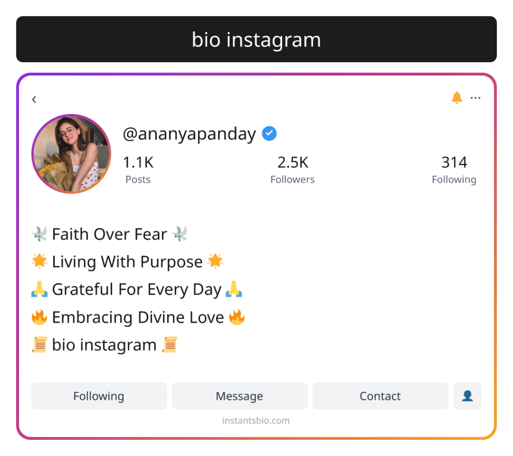 bio instagram