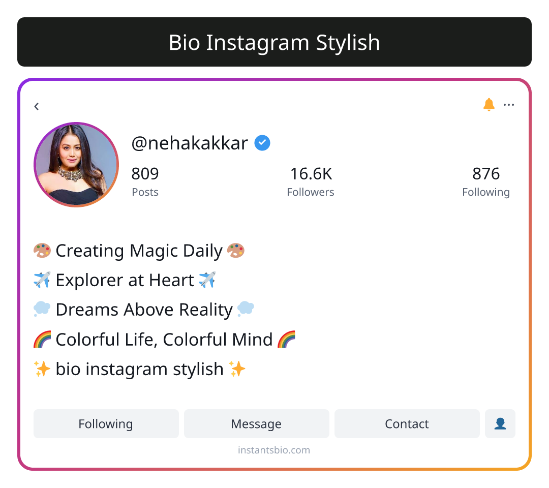 Bio Instagram Stylish
