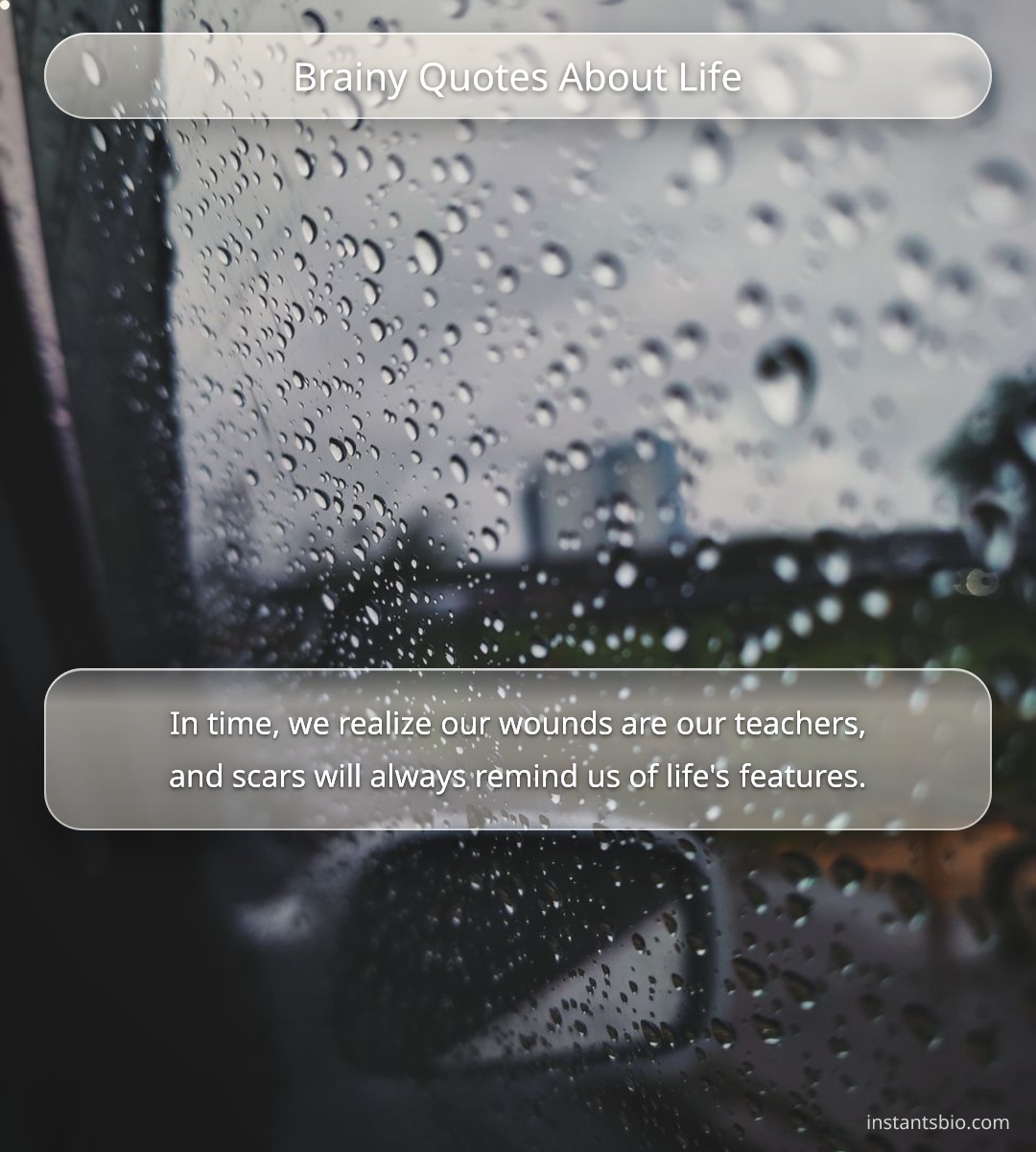 Brainy Quotes About Life