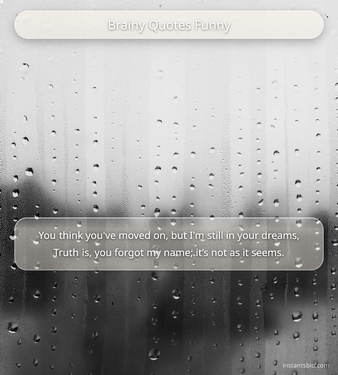 Brainy Quotes Funny