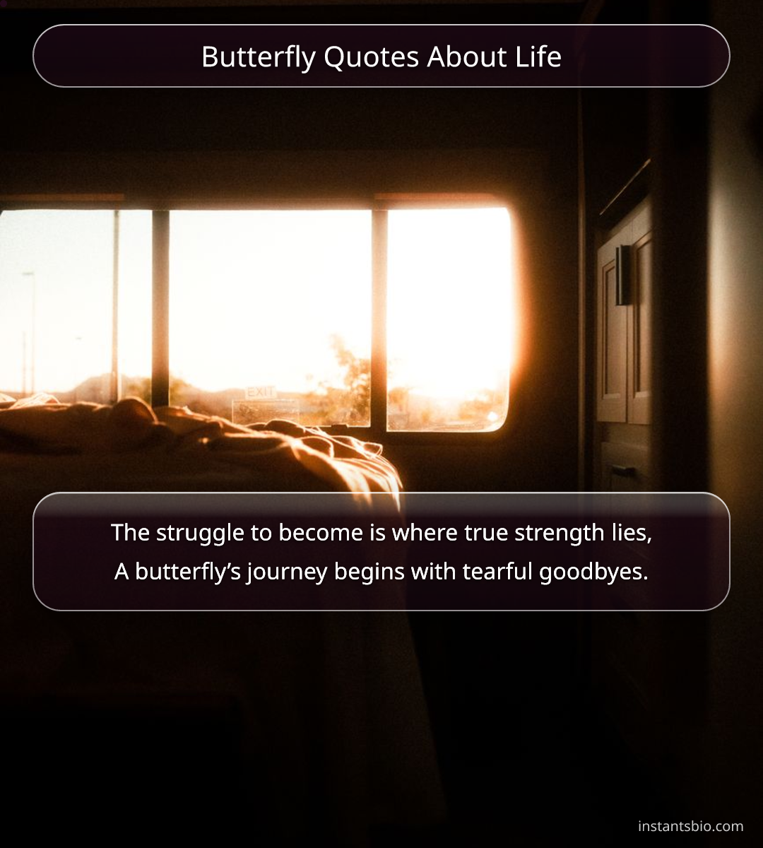 Butterfly Quotes About Life