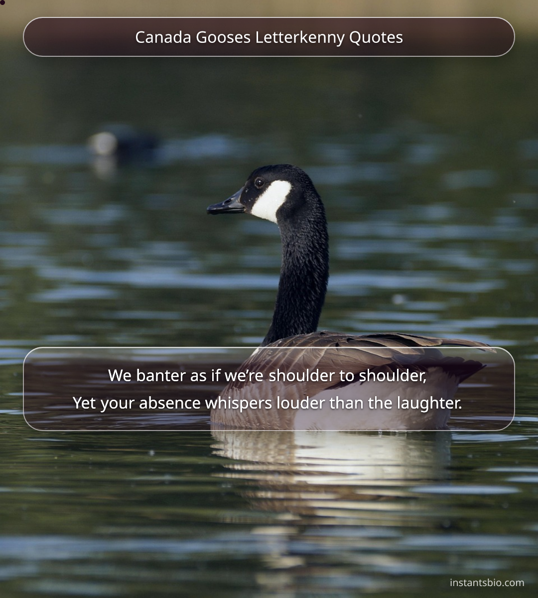 Canada Gooses Letterkenny Quotes