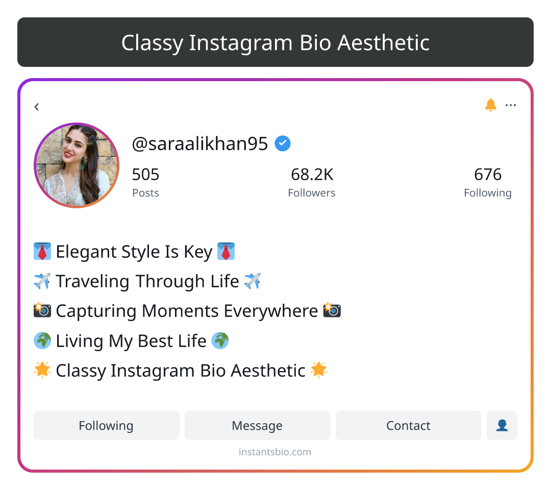 Classy Instagram Bio Aesthetic