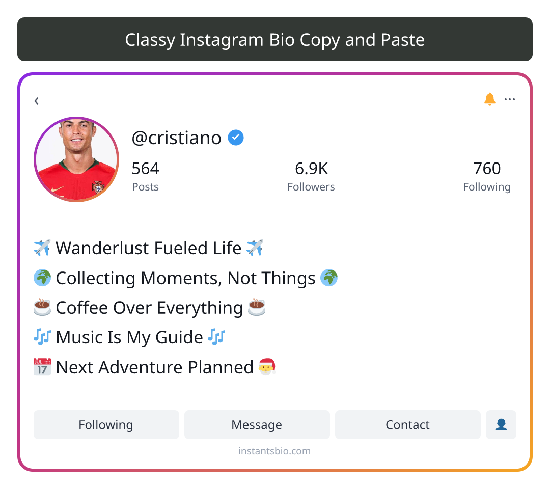 Classy Instagram Bio Copy and Paste