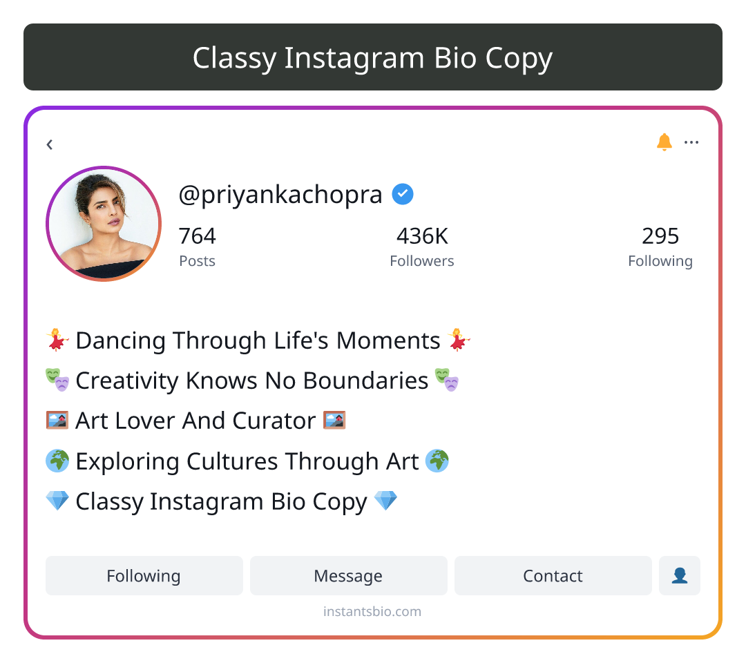 Classy Instagram Bio Copy