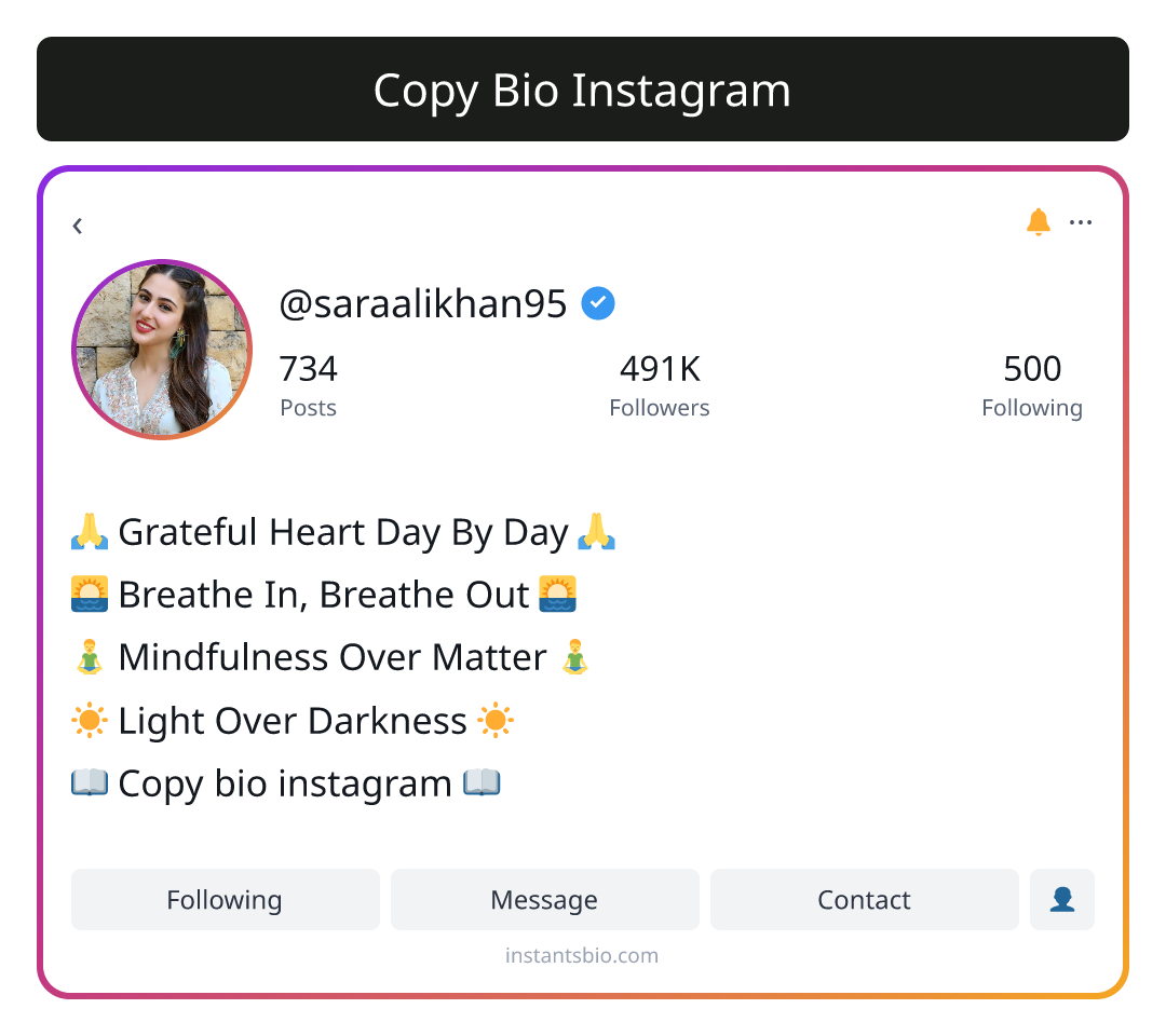 Copy Bio Instagram