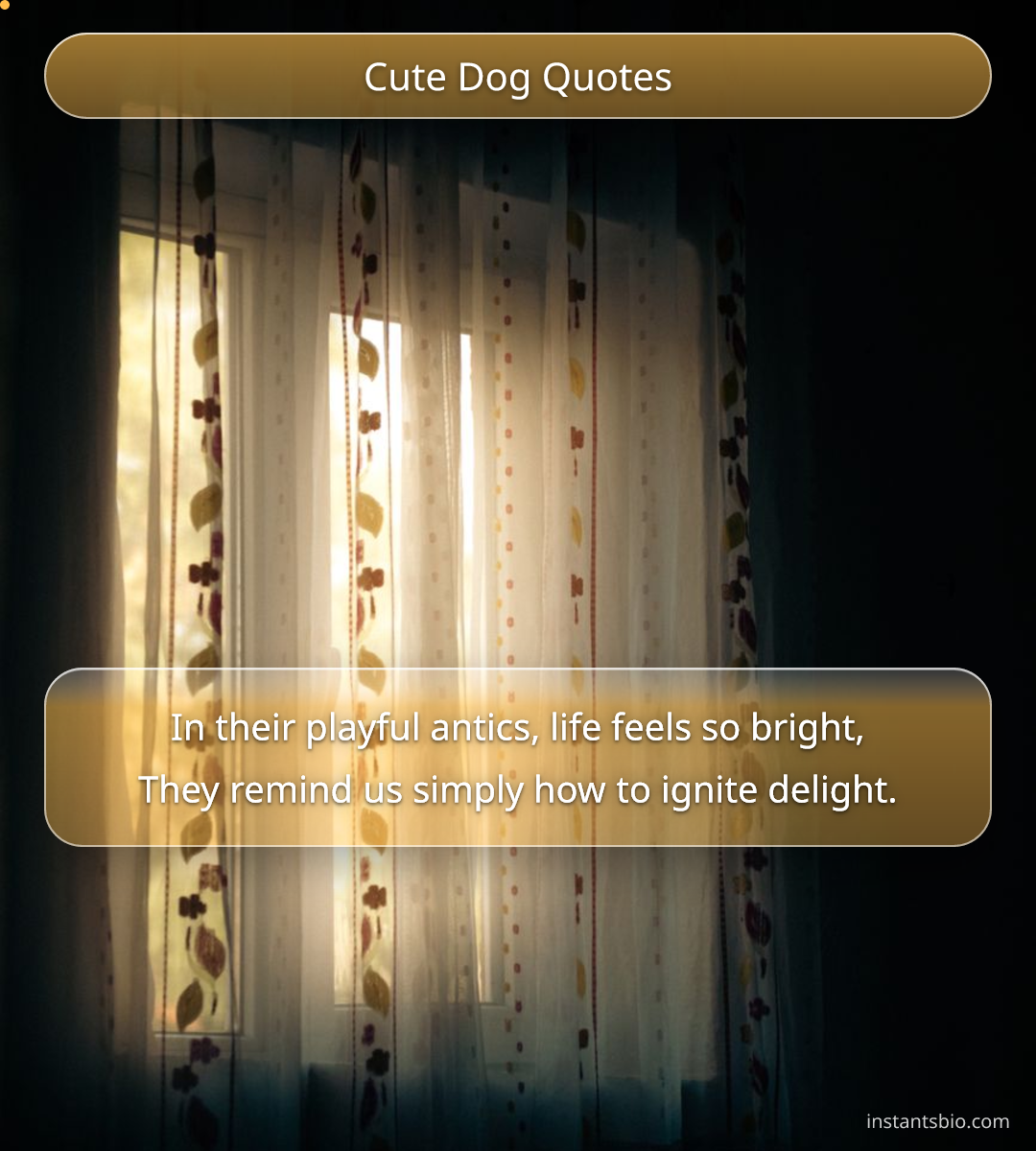 Cute Dog Quotes