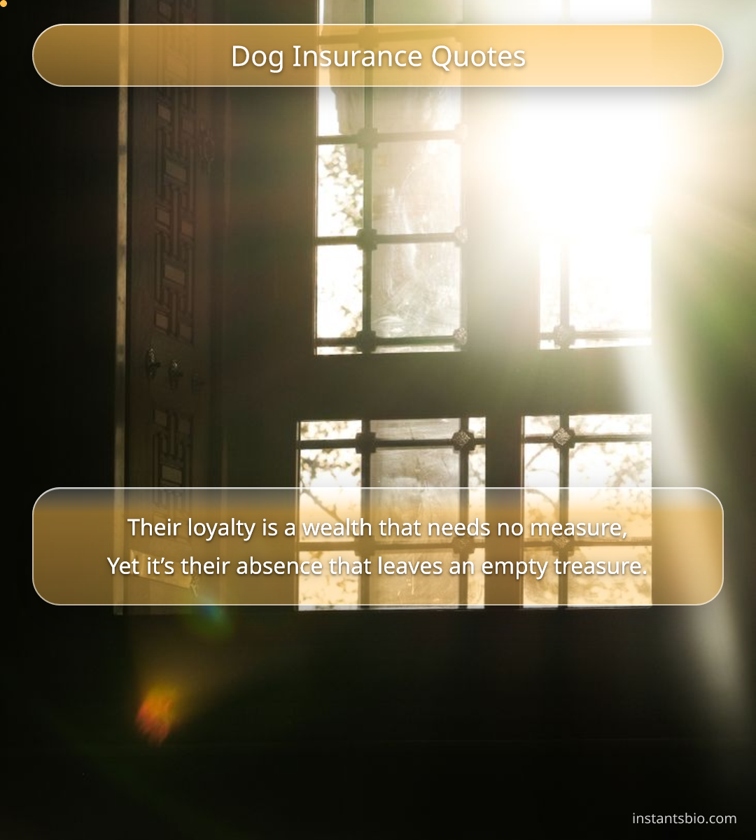 Dog Insurance Quotes - dog quotes