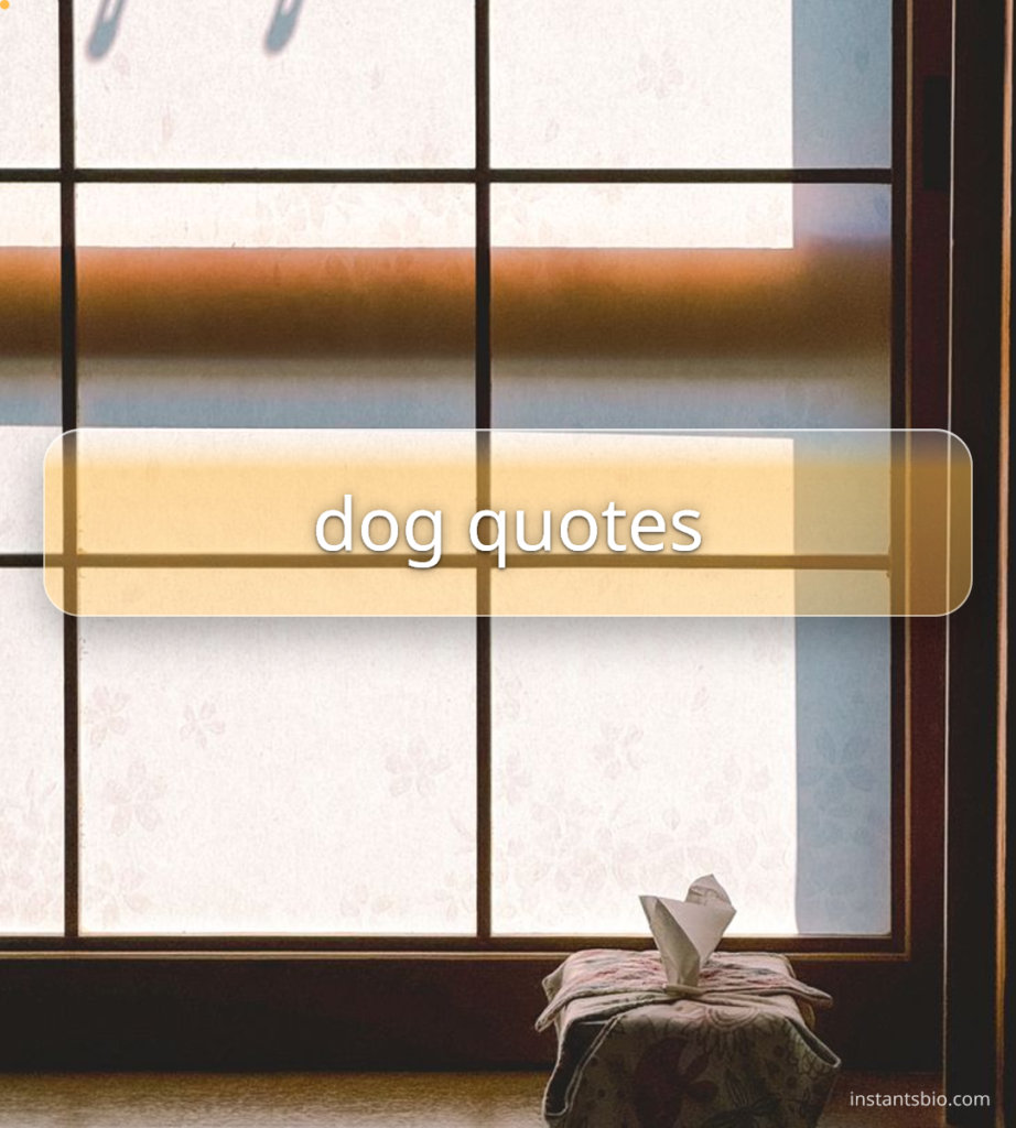 dog quotes