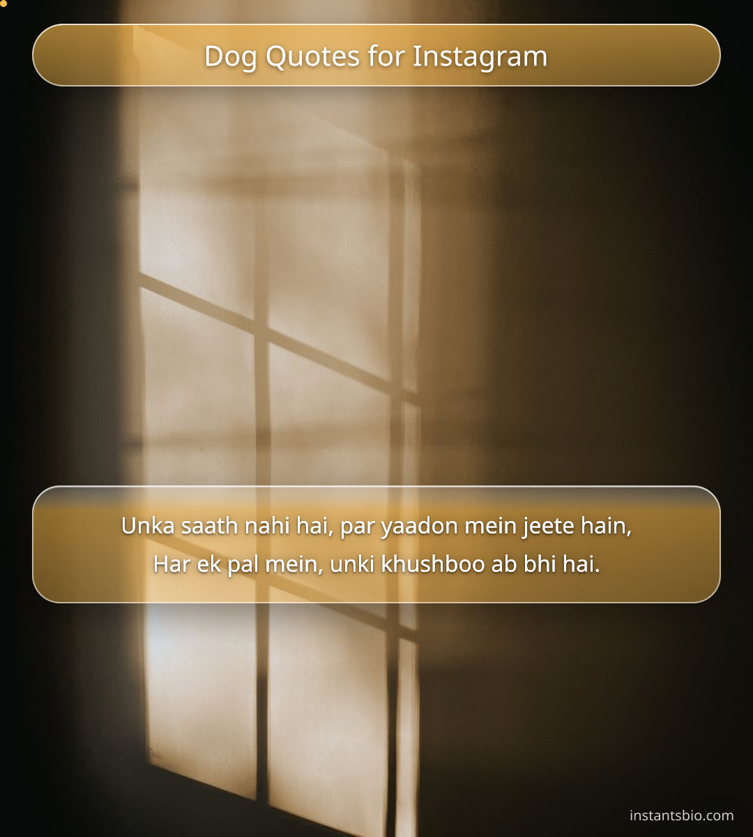 Dog Quotes for Instagram