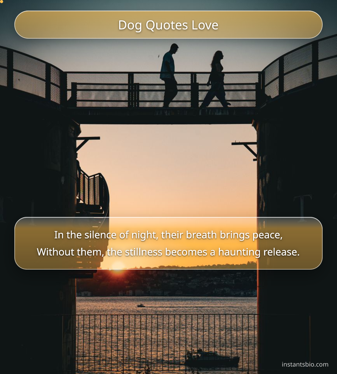 Dog Quotes Love