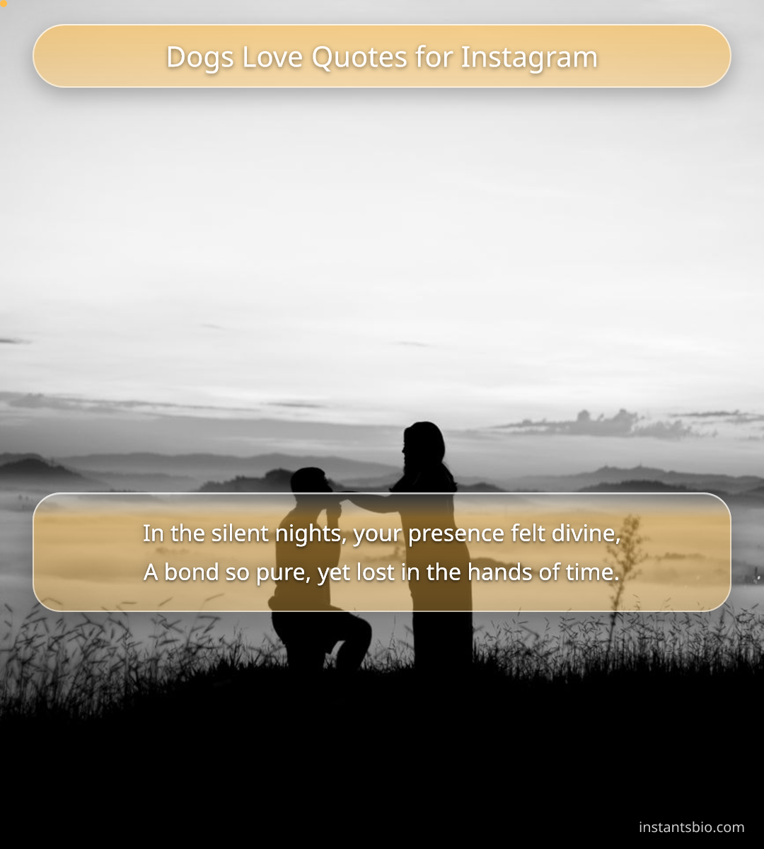 Dogs Love Quotes for Instagram - dog quotes