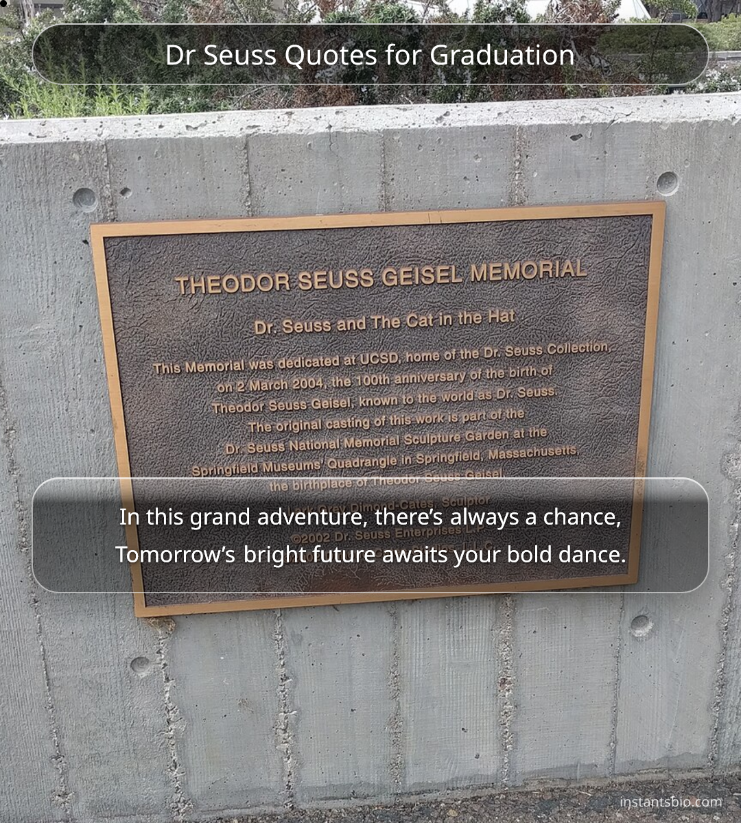 Dr Seuss Quotes for Graduation