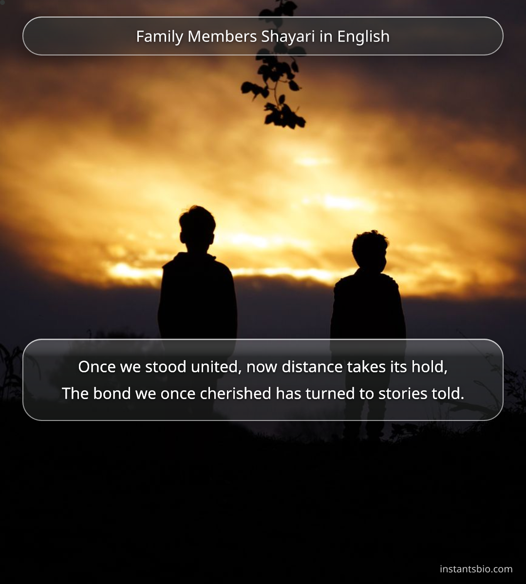 Family Members Shayari in English - family shayari in english