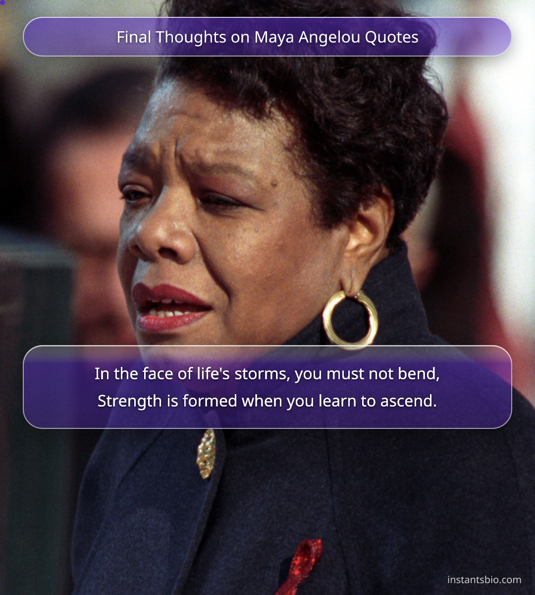 Final Thoughts on Maya Angelou Quotes